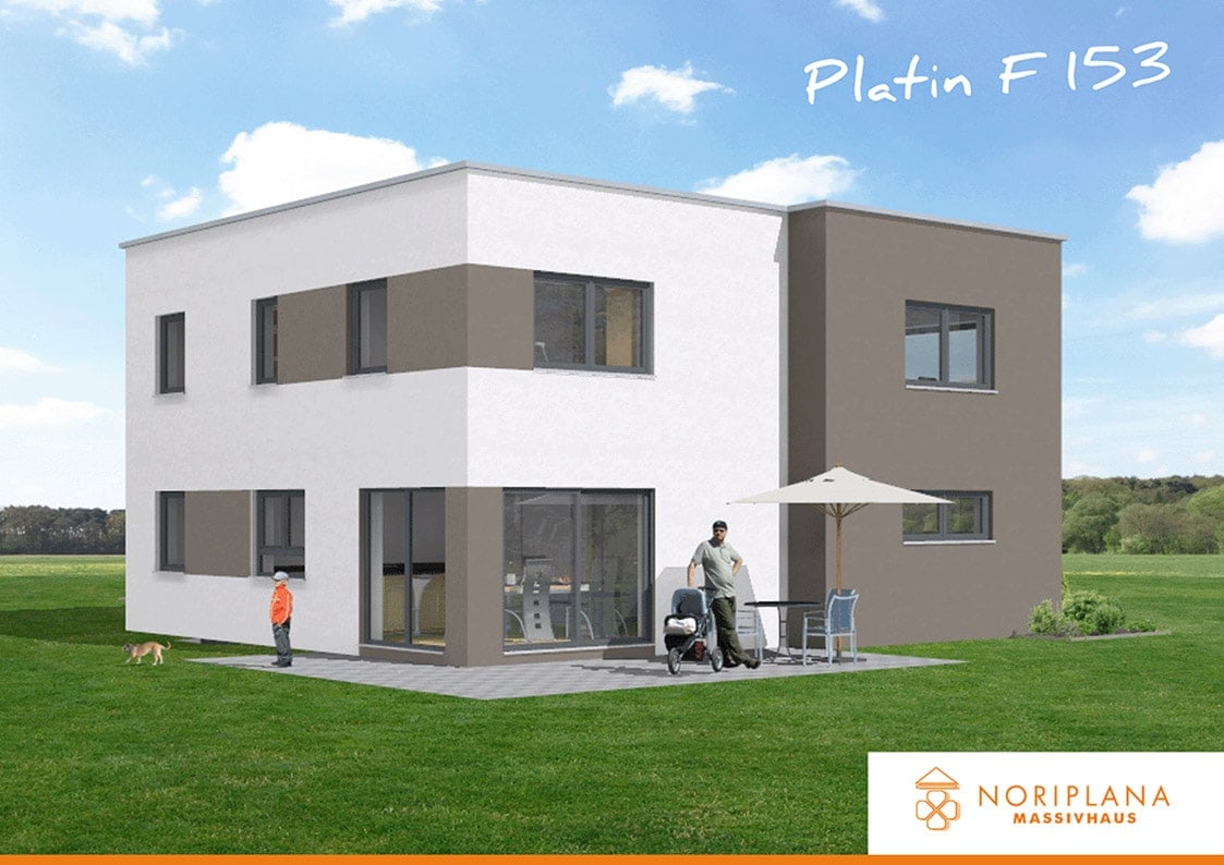Platin F153